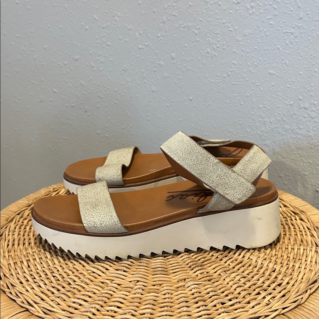 Zodiac Baker Taupe Leather Platform Sandals